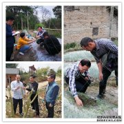 三明农业信息网官网强化技术服务 助力复