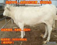 三明农业信息网三明中国养牛网