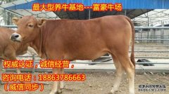 三明农村养殖致富网，三明农业信息网