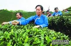 怀化农林集团守好生态美 做好生态