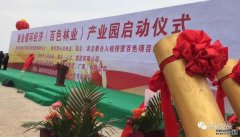 <b>新征程新起点——重金循环经济（百色林业）产</b>