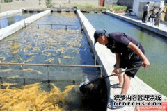 网箱养殖类型利用适宜地理位置 大力发展冷水鱼