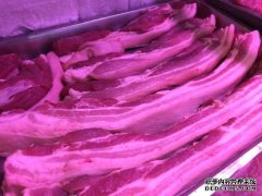 中国农业网官网今日全国鸡肉价格（今日全国鸡