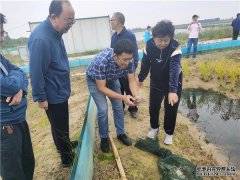 好网民·在东营｜景明公司吕宝花巾帼电