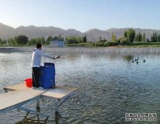 新疆水产养殖基地为农业插上科技翅膀！