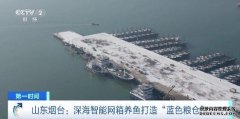 网箱养殖是什么意思全年不间断养殖！山东深海