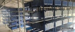 甲鱼养殖技术淡水珍品甲鱼养殖 营养价值