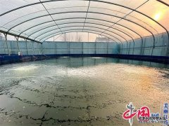 水厂养殖江苏邳州：乡村走出“花样”致