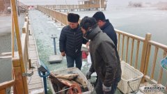 <b>乡村振兴“新”面貌丨特色淡水鱼养殖 铺筑增收</b>