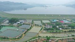 鱼苗养殖新华全媒+丨广西灵山：小小鱼苗带旺乡
