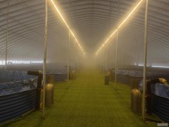 【新春走基层】高密度循环水养鳜鱼 陆地