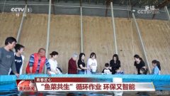 【青春匠心】“鱼菜共生”循环作业 环保