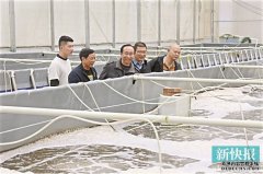阳江市阳东区：科技驱动生产力变革 水产