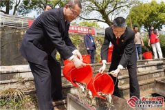三明鱼三明清流：695万尾鱼苗放归河流