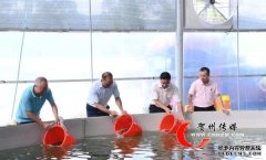 60000尾！昭平这个高密度循环水养殖基地