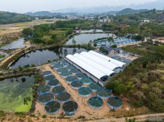 水产养殖桶规格型号一个陆基圆桶养鲈鱼