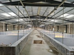 推进水产养殖标准化建设 提升“养虾自由