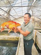 漳州：淡水养殖 点“苗”成金漳州水产养
