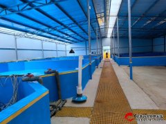 西平县升级工厂化循环水系统探索水产养