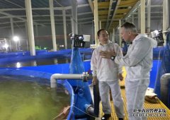 循环水养殖系统侨商王泉成：全封闭式循