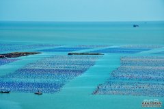 水产养殖基地【食在山海间】福建省海洋