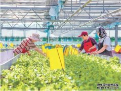 在全面推进乡村振兴上再加力附近水产养