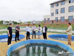 襄州区：推广高密度池塘圈养技术 实现养