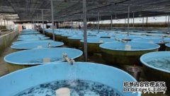 水产养殖业的发展现状：生态渔业模式遍