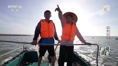 新闻调查丨耕海牧渔 看海水养殖如何向深