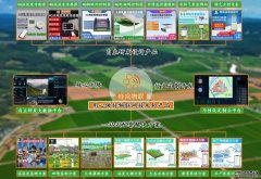 蜂窝物联：智慧水产养殖系统绘制“水世