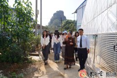 大棚水产养殖柳江区成团镇：大棚也能养