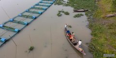 联合国粮农组织：水产养殖为解决全球饥