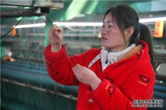 商水渔网小镇初具规模？三明渔网
