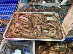 手握挂钩“大商所温度指数”的保险产品