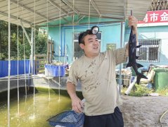 附近水产养殖基地宝鸡市金台区硖石镇水