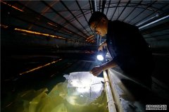 河北滦南：工厂化水产养殖助增收