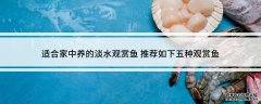 适合家中养的淡水观赏鱼_适合养殖的淡水