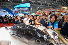 2024渔业周·渔博会圆满落幕 3天165万人次