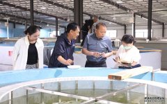 湖北郧西：构建生态休闲渔业全产业链发