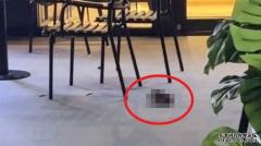 三明砍人厦门网红直播时突然被砍传当场
