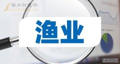 福建渔业公司排名渔业概念股-渔业的龙头