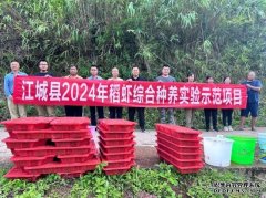 淡水养殖什么效益高普洱江城：“稻虾共