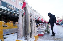 春节临近 “中国淡水鱼都”百年鱼市销售