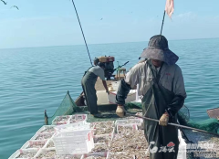 十大暴利淡水养殖天山南北好“丰”景丨