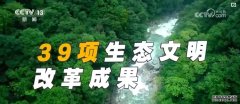 从萌芽到百花齐放 改革脉搏永不停歇20