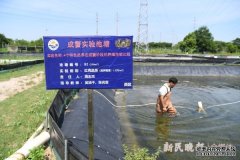 水产养殖意义有颗“导演心” 做着“水产