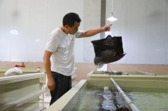 贵州剑河：市场为舵 打造高韧性水产养殖