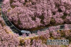 <b>三明产业观察 揭开特色农产品的“创富密码”？</b>