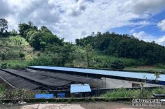 普洱江城：发展土著鱼养殖 拓宽村民致富