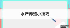 水产养殖技术水产养殖小技巧